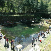 小黒川渓谷 キャンプ場 釣り堀