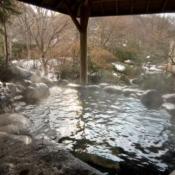 信州佐久春日温泉 自然体感リゾート かすがの森