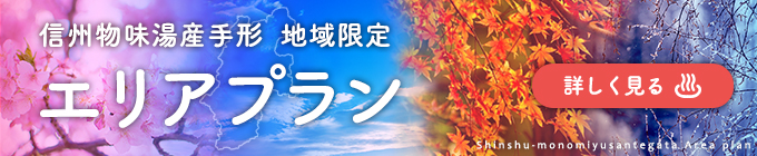 地域限定エリアプラン