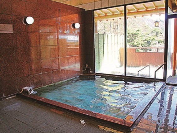 霊泉寺温泉 和泉屋旅館の物味湯産手形のメイン写真