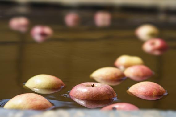 豊野温泉 りんごの湯の物味湯産手形のメイン写真